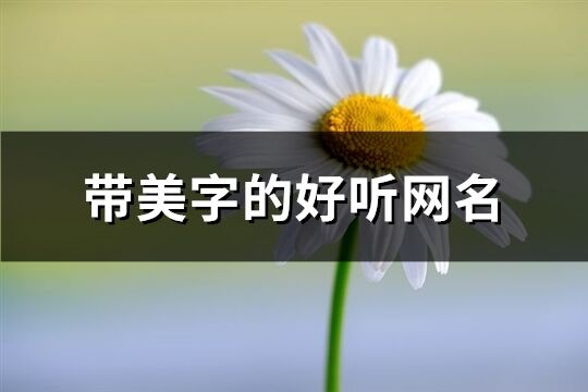 带美字的好听网名(78个)