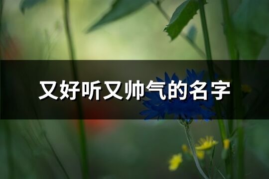 又好听又帅气的名字(精选133个)