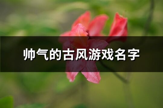 帅气的古风游戏名字(精选739个)