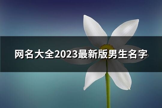 网名大全2023最新版男生名字(共1157个)