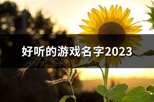 好听的游戏名字2023(共771个)