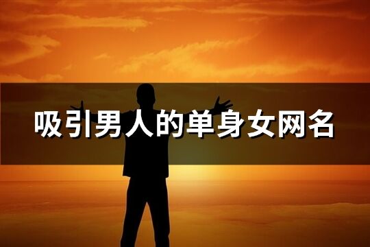 吸引男人的单身女网名(精选130个)