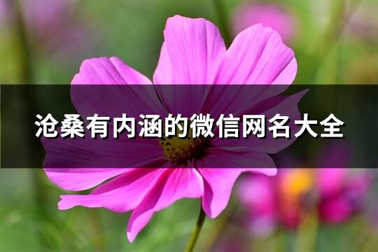 沧桑有内涵的微信网名大全(精选109个)