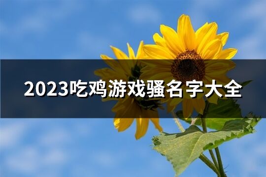 2023吃鸡游戏骚名字大全(优选379个)