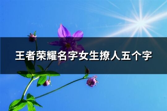 王者荣耀名字女生撩人五个字(共227个)