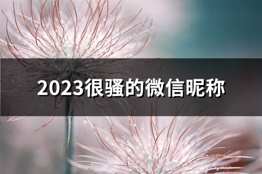 2023很骚的微信昵称(504个)