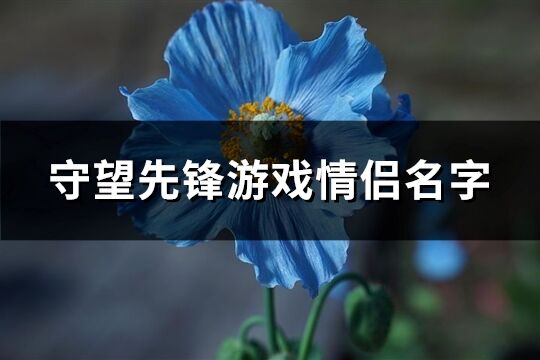 守望先锋游戏情侣名字(84个)