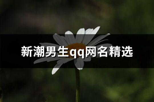 新潮男生qq网名精选(共496个)