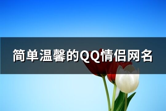 简单温馨的QQ情侣网名(共306个)