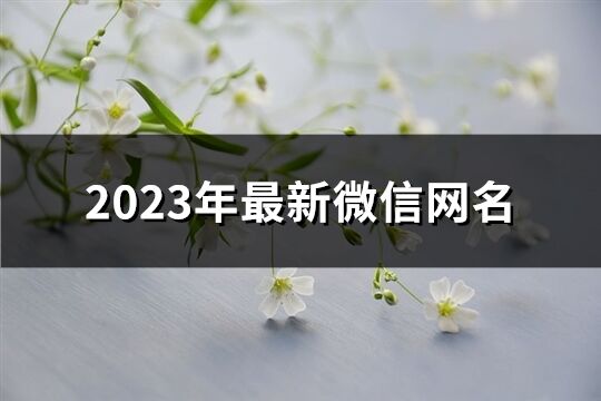 2023年最新微信网名(共1362个)