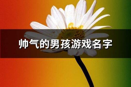 帅气的男孩游戏名字(共439个)