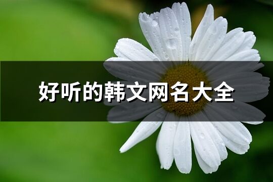 好听的韩文网名大全(精选62个)