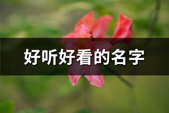 好听好看的名字(共166个)