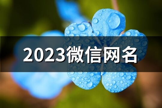 2023微信网名(886个)