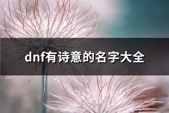 dnf有诗意的名字大全(共307个)