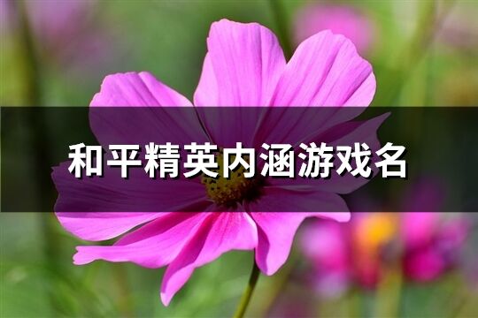 和平精英内涵游戏名(精选697个)