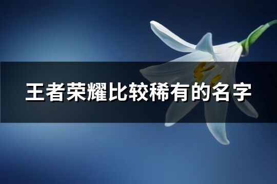 王者荣耀比较稀有的名字(235个)