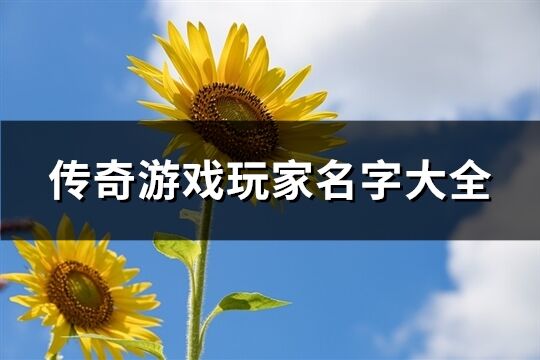 传奇游戏玩家名字大全(共818个)