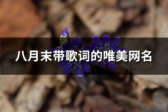 八月末带歌词的唯美网名(共664个)