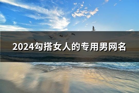 2024勾搭女人的专用男网名(精选234个)