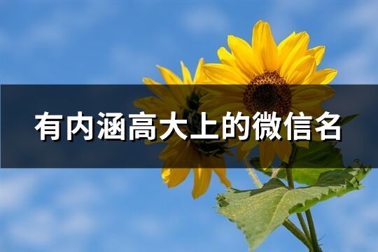 有内涵高大上的微信名(344个)