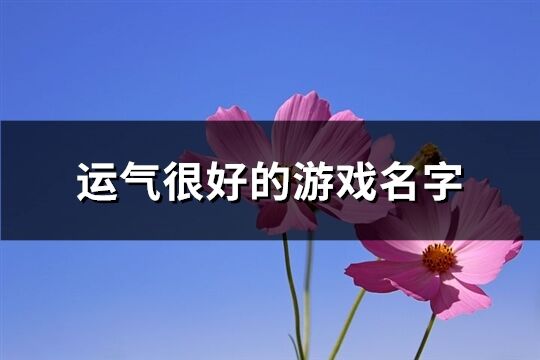 运气很好的游戏名字(338个)