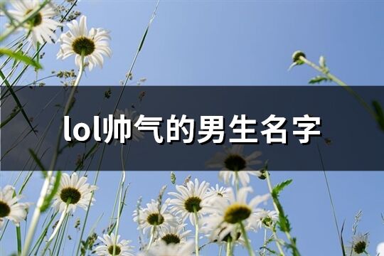 lol帅气的男生名字(270个)