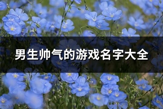 男生帅气的游戏名字大全(共278个)