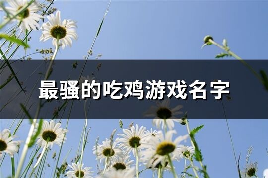 最骚的吃鸡游戏名字(精选234个)