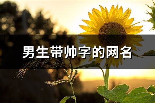 男生带帅字的网名(精选105个)