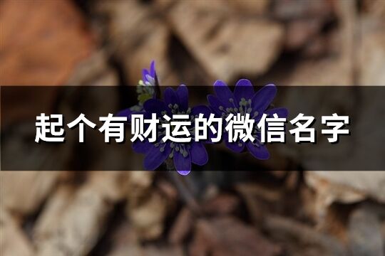 起个有财运的微信名字(精选501个)