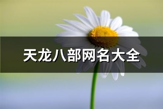 天龙八部网名大全(优选454个)