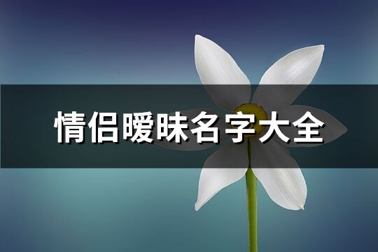 情侣暧昧名字大全(共86个)