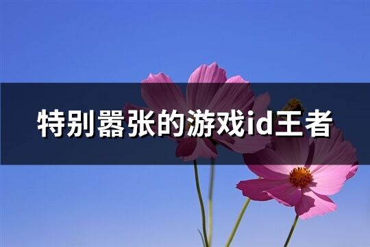 特别嚣张的游戏id王者(共74个)