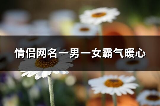 情侣网名一男一女霸气暖心(优选62个)