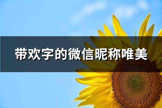 带欢字的微信昵称唯美(精选143个)