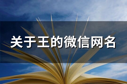 关于王的微信网名(精选112个)