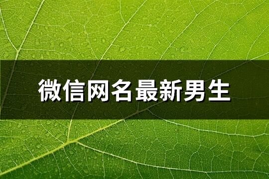 微信网名最新男生(精选69个)