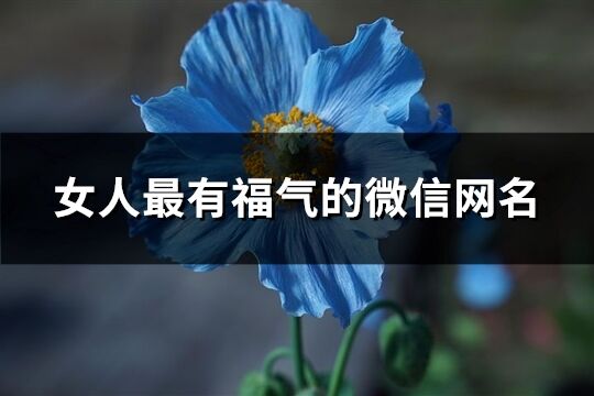 女人最有福气的微信网名(优选981个)