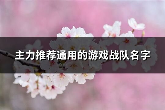 主力推荐通用的游戏战队名字(精选293个)