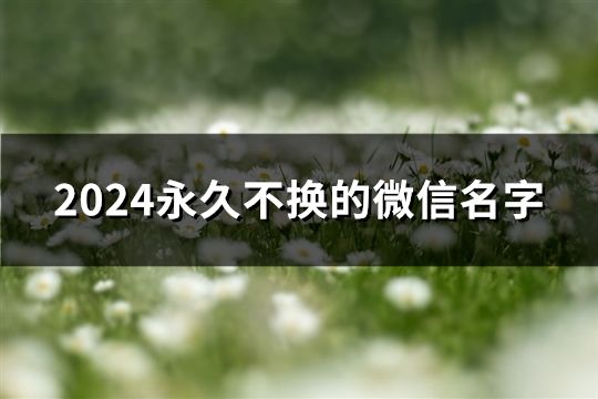 2024永久不换的微信名字(43个)