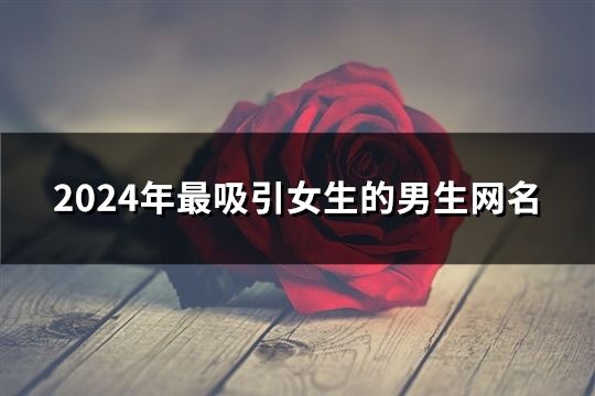 2024年最吸引女生的男生网名(精选129个)