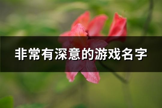 非常有深意的游戏名字(共277个)