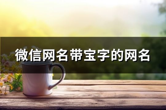 微信网名带宝字的网名(精选27个)