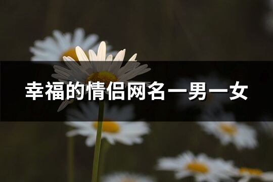 幸福的情侣网名一男一女(精选267个)