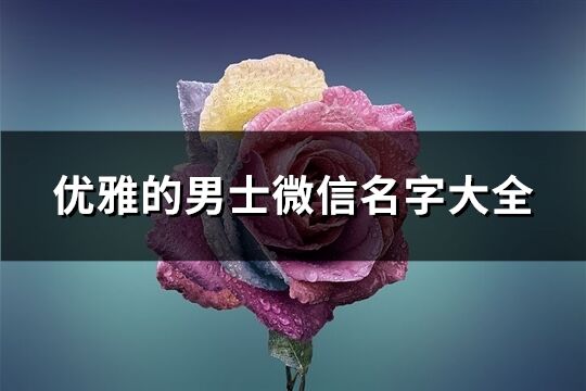 优雅的男士微信名字大全(550个)