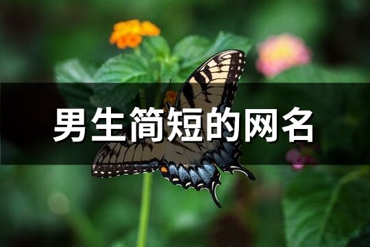 男生简短的网名(共1319个)