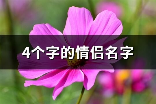 4个字的情侣名字(精选381个)