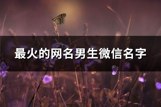 最火的网名男生微信名字(精选419个)