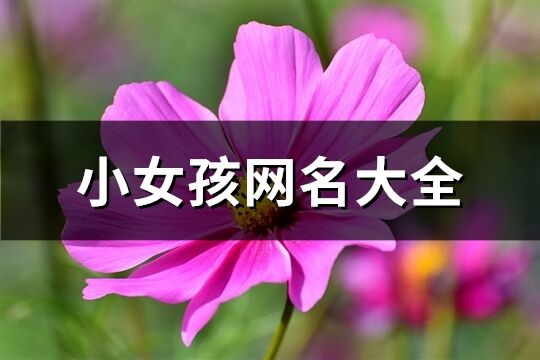 小女孩网名大全(共536个)